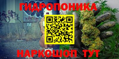гидропоника Рузаевка