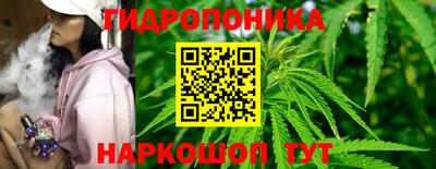 гидропоника Рузаевка