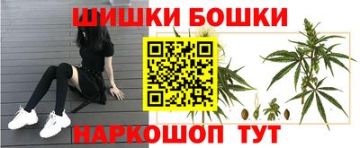 гидропоника Рузаевка